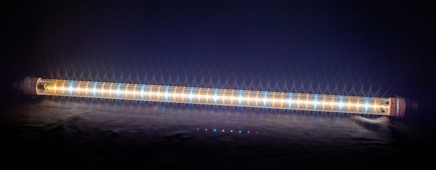 (Tube) 2 Feet EASY A, 10W, White/Warm White