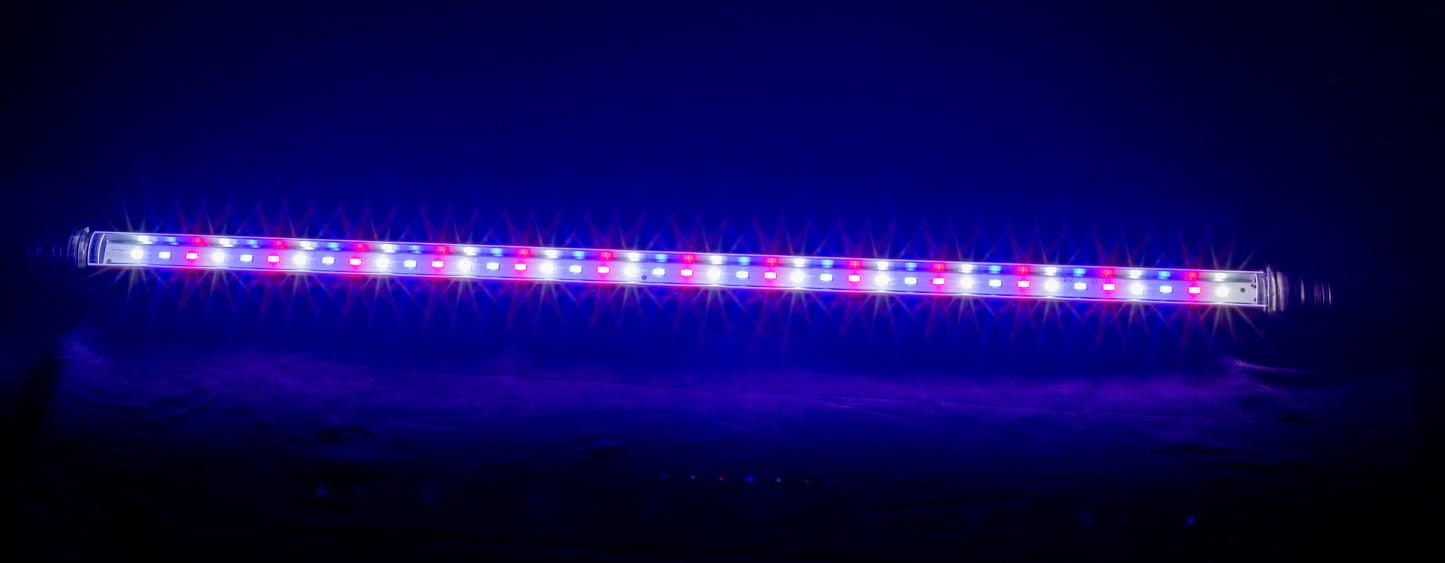 (Tube) 4 Feet Sola C, 20W, (High Blue Spectrum)