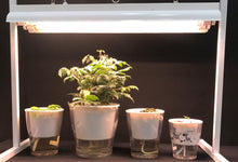 Horticulture Grow Light System